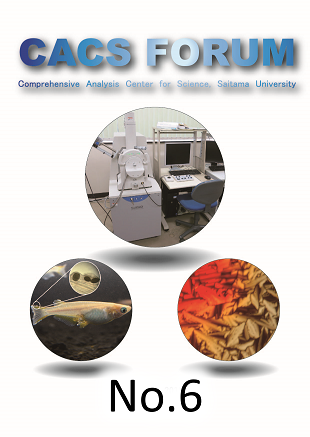 CACS FORUM No.6