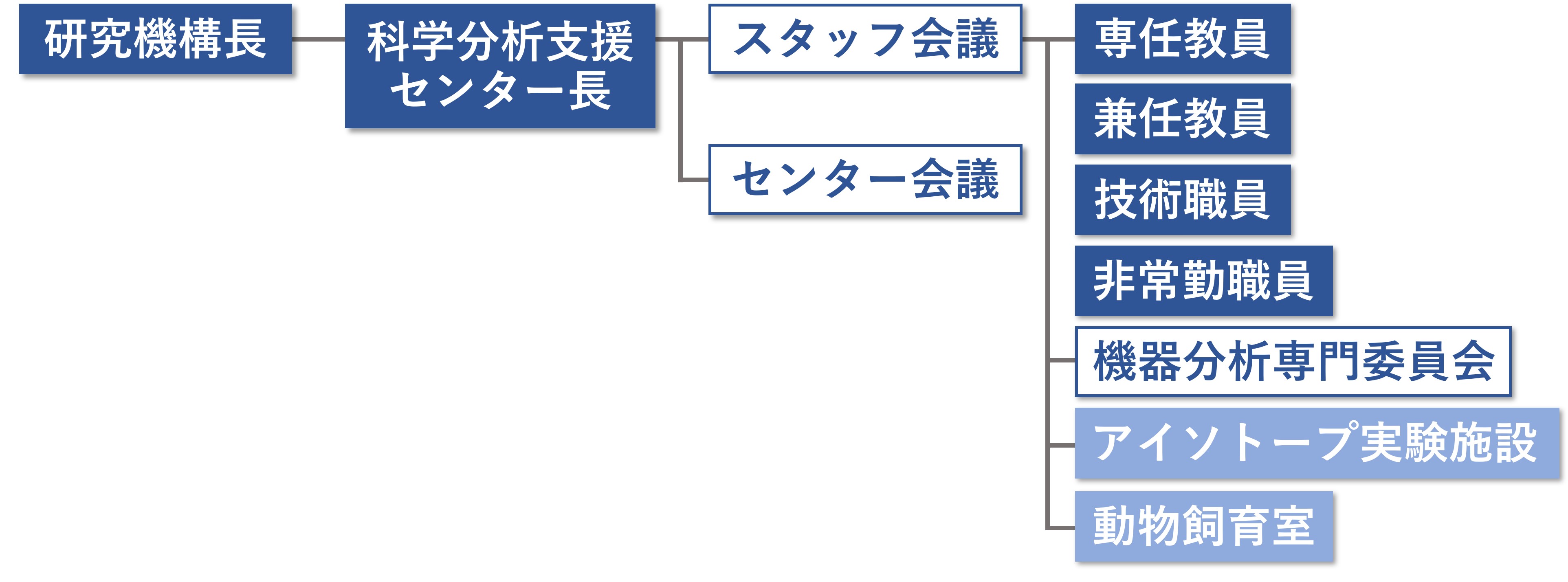 組織図